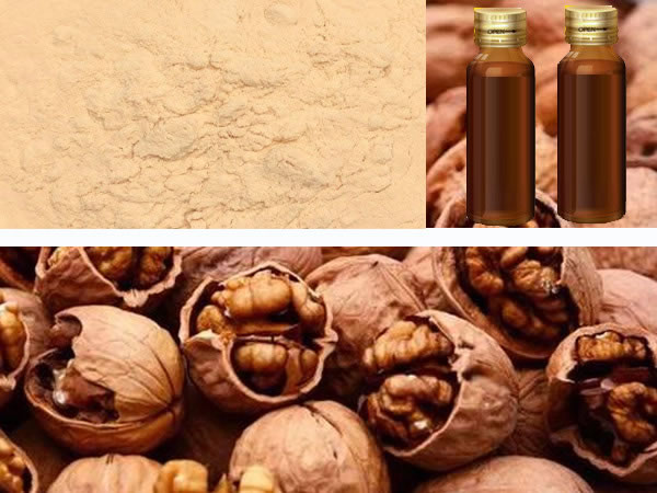 �����������ҵľC������